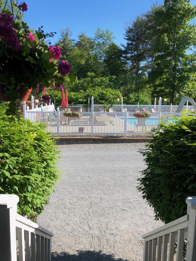 Lyn Aire - George Lake George