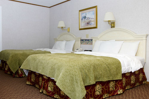 Lyn Aire - George Motel Lake George